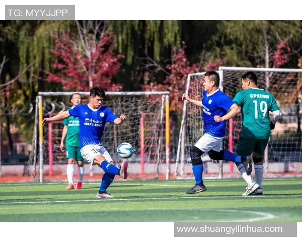 贵州足球明星海龙的成长历程与成就揭秘